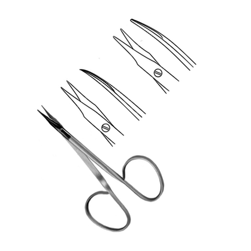 steven scissors